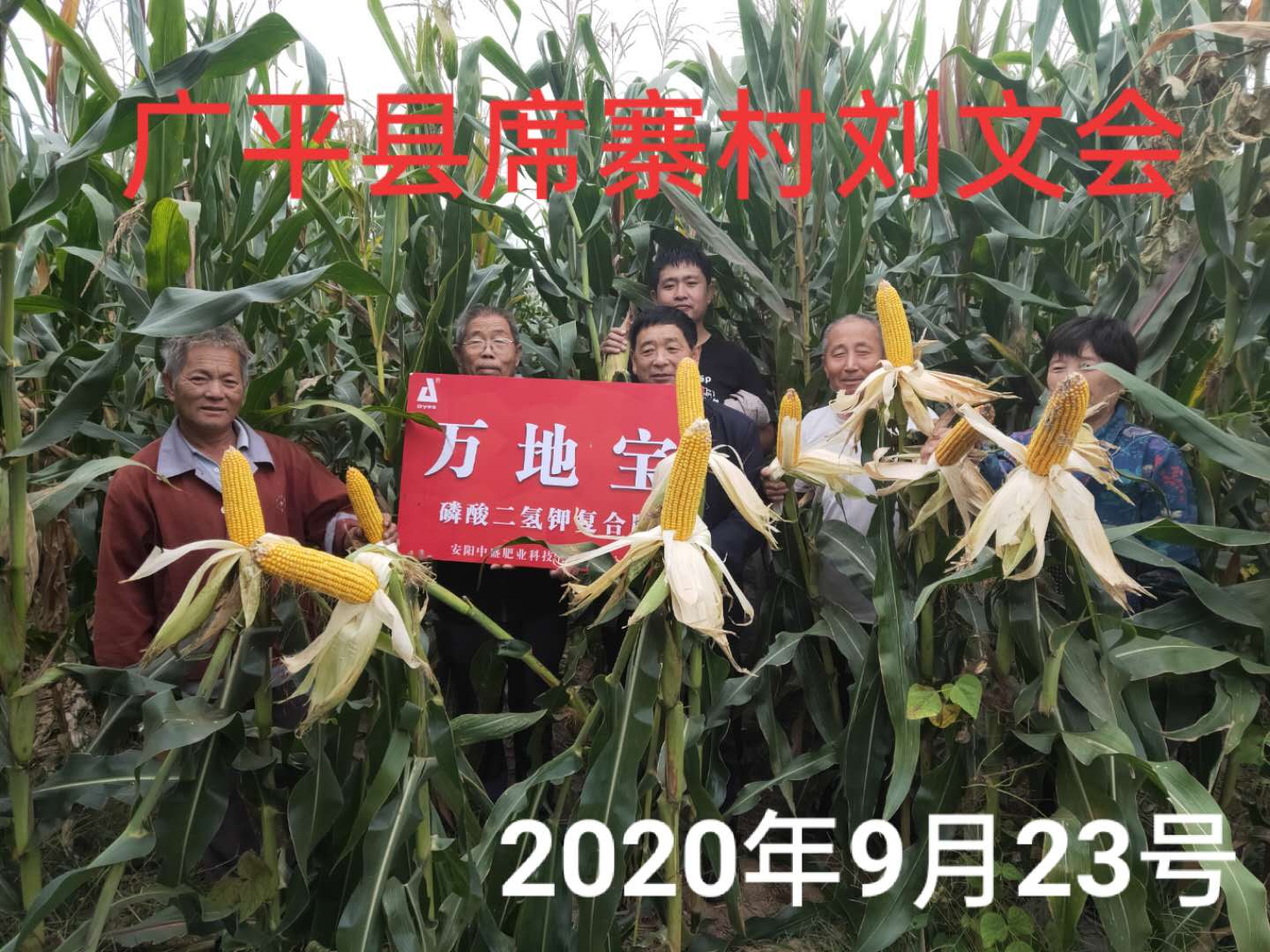 王大爺為什么主動給劉經理打電話說玉米復合肥的事?